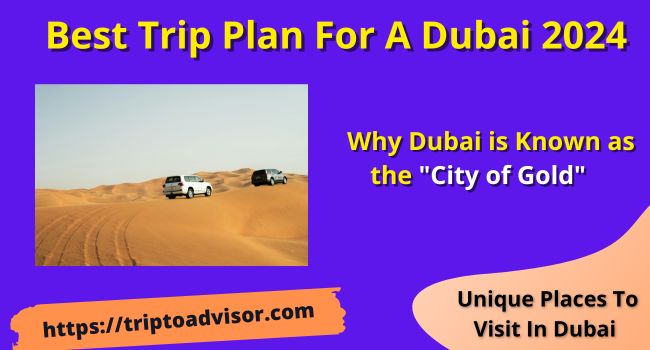 best trip plan for a dubai